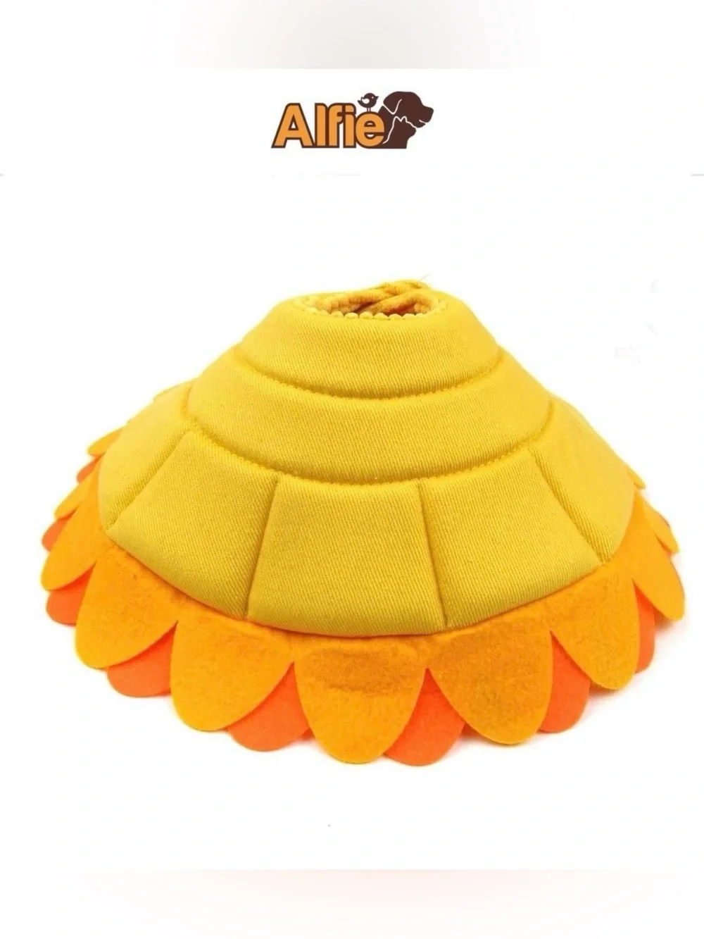 Alfie m2668 can